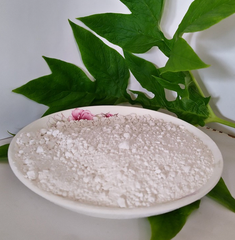 Premium Konjac Powder / Glucomannan - Image 3